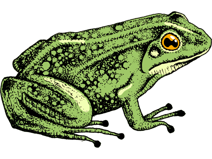 Logo des Projekts HubGrep