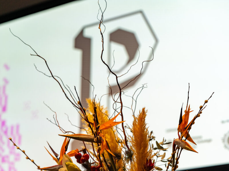 Foto einer Pflanze in herbstlichen orangetönen, dahinter ist ein Prototype Fund P zu sehen dass von einem Beamer auf eine Leinwand projiziert wird.