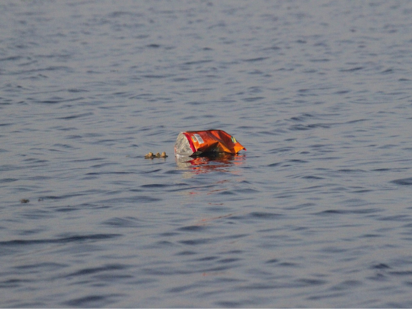 Foto einer Plastikflasche, die in einem Gewässer schwimmt.