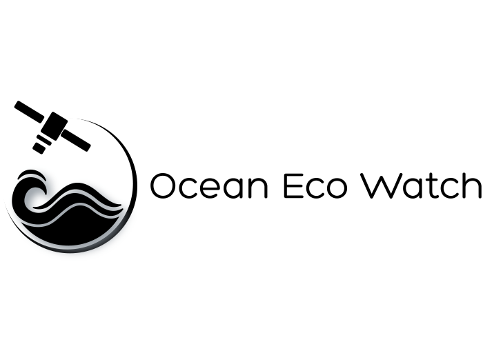 Logo von Ocean Eco Watch: Neben dem Schriftzug eine stilisierte Welle, über der ein Satellit schwebt.